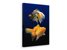 Laden Sie das Bild in den Galerie-Viewer, Leinwandbild 2 Lustige Fische