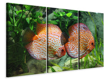Laden Sie das Bild in den Galerie-Viewer, Leinwandbild 3-teilig 2 Fische