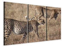 Laden Sie das Bild in den Galerie-Viewer, Leinwandbild 3-teilig 2 Leoparden