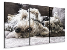 Laden Sie das Bild in den Galerie-Viewer, Leinwandbild 3-teilig 2 niedliche Hunde
