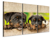 Laden Sie das Bild in den Galerie-Viewer, Leinwandbild 3-teilig 2 Rottweiler Welpen