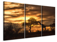 Laden Sie das Bild in den Galerie-Viewer, Leinwandbild 3-teilig African Dreams