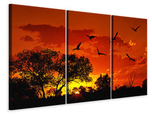 Laden Sie das Bild in den Galerie-Viewer, Leinwandbild 3-teilig African Feeling
