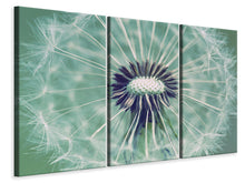 Laden Sie das Bild in den Galerie-Viewer, Leinwandbild 3-teilig Close Up Pusteblume