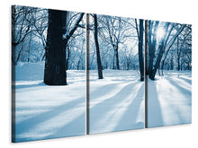 Laden Sie das Bild in den Galerie-Viewer, Leinwandbild 3-teilig Der Wald ohne Spuren im Schnee