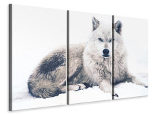 Laden Sie das Bild in den Galerie-Viewer, Leinwandbild 3-teilig Der Wolf