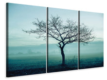 Laden Sie das Bild in den Galerie-Viewer, Leinwandbild 3-teilig Der Zauberbaum