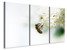 Laden Sie das Bild in den Galerie-Viewer, Leinwandbild 3-teilig Die Hummel und die Blüte