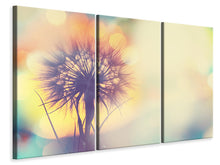 Laden Sie das Bild in den Galerie-Viewer, Leinwandbild 3-teilig Die Pusteblume im Licht