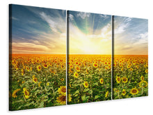 Laden Sie das Bild in den Galerie-Viewer, Leinwandbild 3-teilig Ein Feld voller Sonnenblumen
