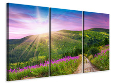 Laden Sie das Bild in den Galerie-Viewer, Leinwandbild 3-teilig Eine Sommerlandschaft bei Sonnenaufgang