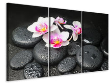 Laden Sie das Bild in den Galerie-Viewer, Leinwandbild 3-teilig Feng-Shui-Orchidee Zen