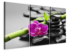 Laden Sie das Bild in den Galerie-Viewer, Leinwandbild 3-teilig Feng-Shui-Orchidee