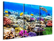 Laden Sie das Bild in den Galerie-Viewer, Leinwandbild 3-teilig Fischaquarium