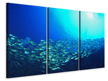 Laden Sie das Bild in den Galerie-Viewer, Leinwandbild 3-teilig Fischschwarm