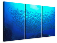 Leinwandbild 3-teilig Fischwelt