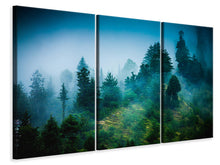 Laden Sie das Bild in den Galerie-Viewer, Leinwandbild 3-teilig Geheimnisvoller Wald