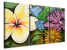 Laden Sie das Bild in den Galerie-Viewer, Leinwandbild 3-teilig Graffiti Flowers