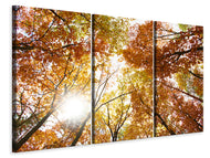 Leinwandbild 3-teilig Herbstbäume