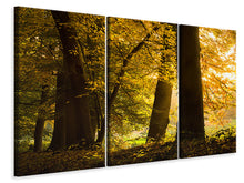 Laden Sie das Bild in den Galerie-Viewer, Leinwandbild 3-teilig Herbstlaub