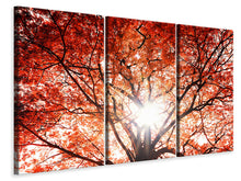 Laden Sie das Bild in den Galerie-Viewer, Leinwandbild 3-teilig Herbstlicht