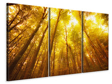 Laden Sie das Bild in den Galerie-Viewer, Leinwandbild 3-teilig Herbstwald