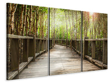 Laden Sie das Bild in den Galerie-Viewer, Leinwandbild 3-teilig Hölzerne Brücke
