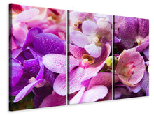 Laden Sie das Bild in den Galerie-Viewer, Leinwandbild 3-teilig Im Orchideenparadies