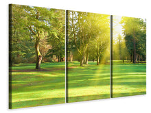 Laden Sie das Bild in den Galerie-Viewer, Leinwandbild 3-teilig Im Park