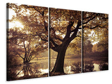 Laden Sie das Bild in den Galerie-Viewer, Leinwandbild 3-teilig Landschaftspark