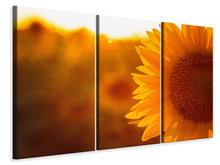 Laden Sie das Bild in den Galerie-Viewer, Leinwandbild 3-teilig Macro-Sonnenblume