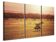Laden Sie das Bild in den Galerie-Viewer, Leinwandbild 3-teilig Malerisches Afrika