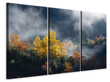 Laden Sie das Bild in den Galerie-Viewer, Leinwandbild 3-teilig Mondscheinwald