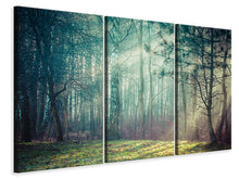 Laden Sie das Bild in den Galerie-Viewer, Leinwandbild 3-teilig Pinienwald