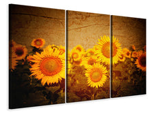 Laden Sie das Bild in den Galerie-Viewer, Leinwandbild 3-teilig Retro-Sonnenblumen