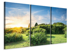 Laden Sie das Bild in den Galerie-Viewer, Leinwandbild 3-teilig Sonnenaufgang im Park
