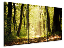 Laden Sie das Bild in den Galerie-Viewer, Leinwandbild 3-teilig Sonnenaufgang im Wald