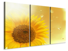 Laden Sie das Bild in den Galerie-Viewer, Leinwandbild 3-teilig Sonnenblume im Morgentau