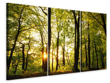 Laden Sie das Bild in den Galerie-Viewer, Leinwandbild 3-teilig Sonnenuntergang zwischen den Bäumen