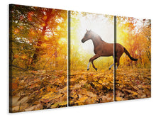Laden Sie das Bild in den Galerie-Viewer, Leinwandbild 3-teilig Vollblut im Herbstwald