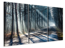 Laden Sie das Bild in den Galerie-Viewer, Leinwandbild 3-teilig Wald im Lichtstrahl