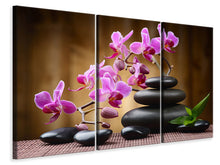 Laden Sie das Bild in den Galerie-Viewer, Leinwandbild 3-teilig Wellness-Steine
