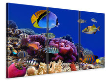 Laden Sie das Bild in den Galerie-Viewer, Leinwandbild 3-teilig Welt der Fische