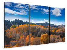 Laden Sie das Bild in den Galerie-Viewer, Leinwandbild 3-teilig Wolken ziehen auf