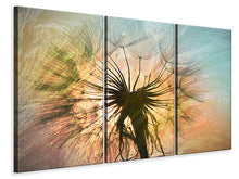 Laden Sie das Bild in den Galerie-Viewer, Leinwandbild 3-teilig XXL Pusteblume