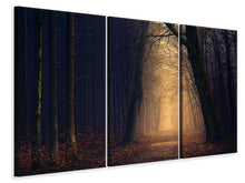 Laden Sie das Bild in den Galerie-Viewer, Leinwandbild 3-teilig Abendstimmung im Wald