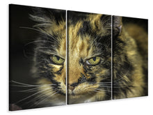 Laden Sie das Bild in den Galerie-Viewer, Leinwandbild 3-teilig Achtung Katze