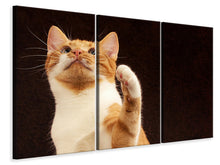 Laden Sie das Bild in den Galerie-Viewer, Leinwandbild 3-teilig Achtung kluge Katze