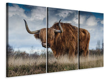 Laden Sie das Bild in den Galerie-Viewer, Leinwandbild 3-teilig Achtung Stier!