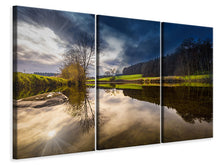 Laden Sie das Bild in den Galerie-Viewer, Leinwandbild 3-teilig Am Waldrand